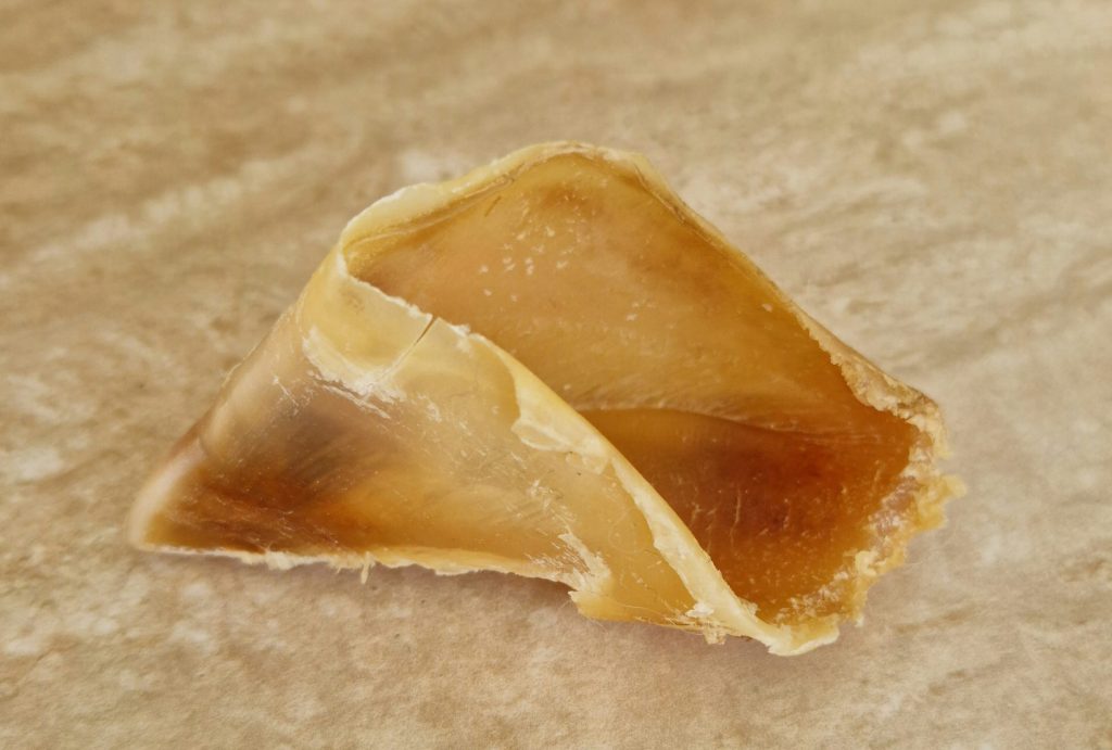 Sabot de bœuf naturel pour l’hygiène dentaire du Spitz nain