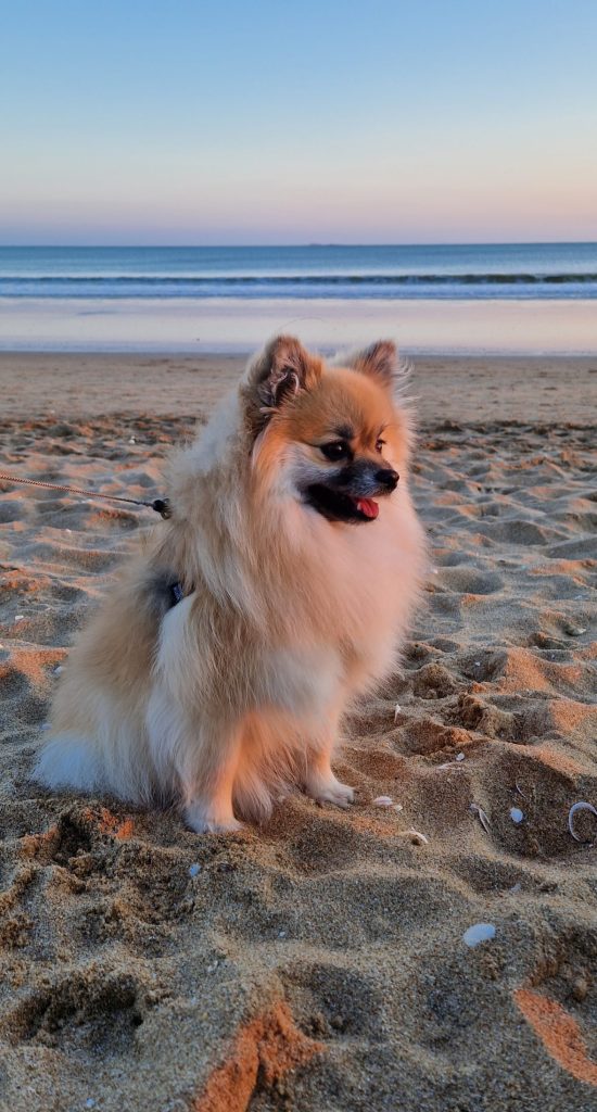 Ma petite Saya à la plage